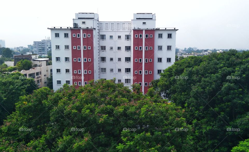 A colourd hotel is cover with fully green trees