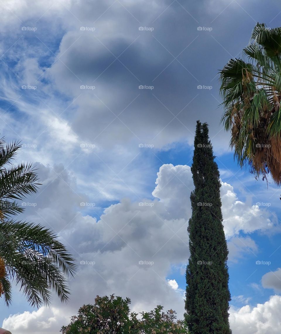 Storm Clouds Against a Blue Sky