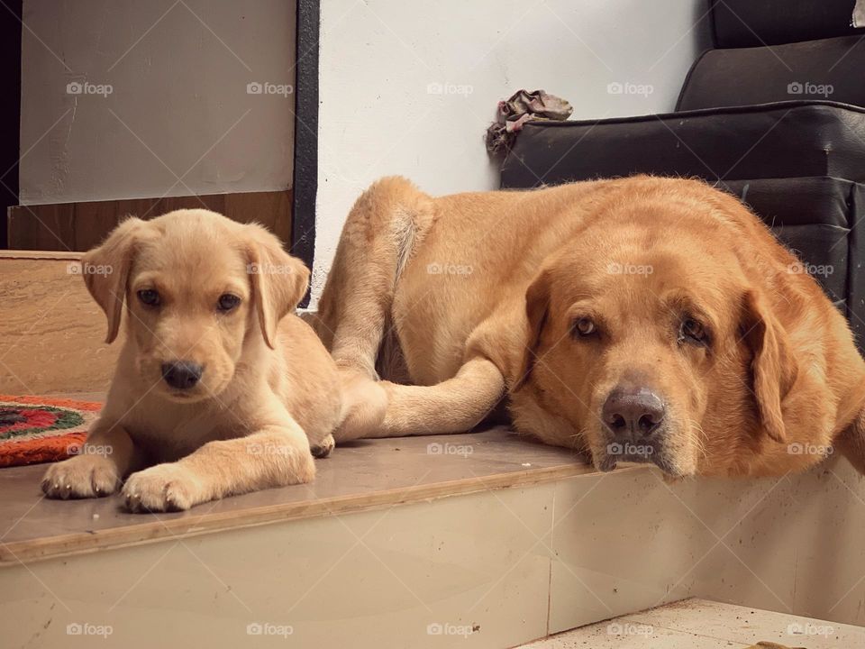 Who is better, me or you