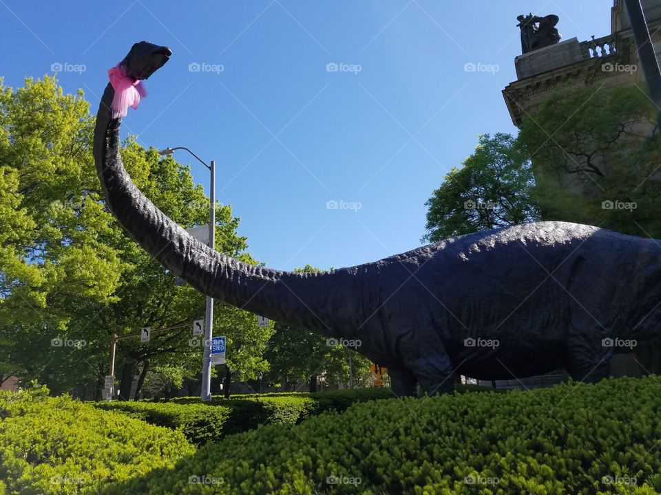 support for breast cancer