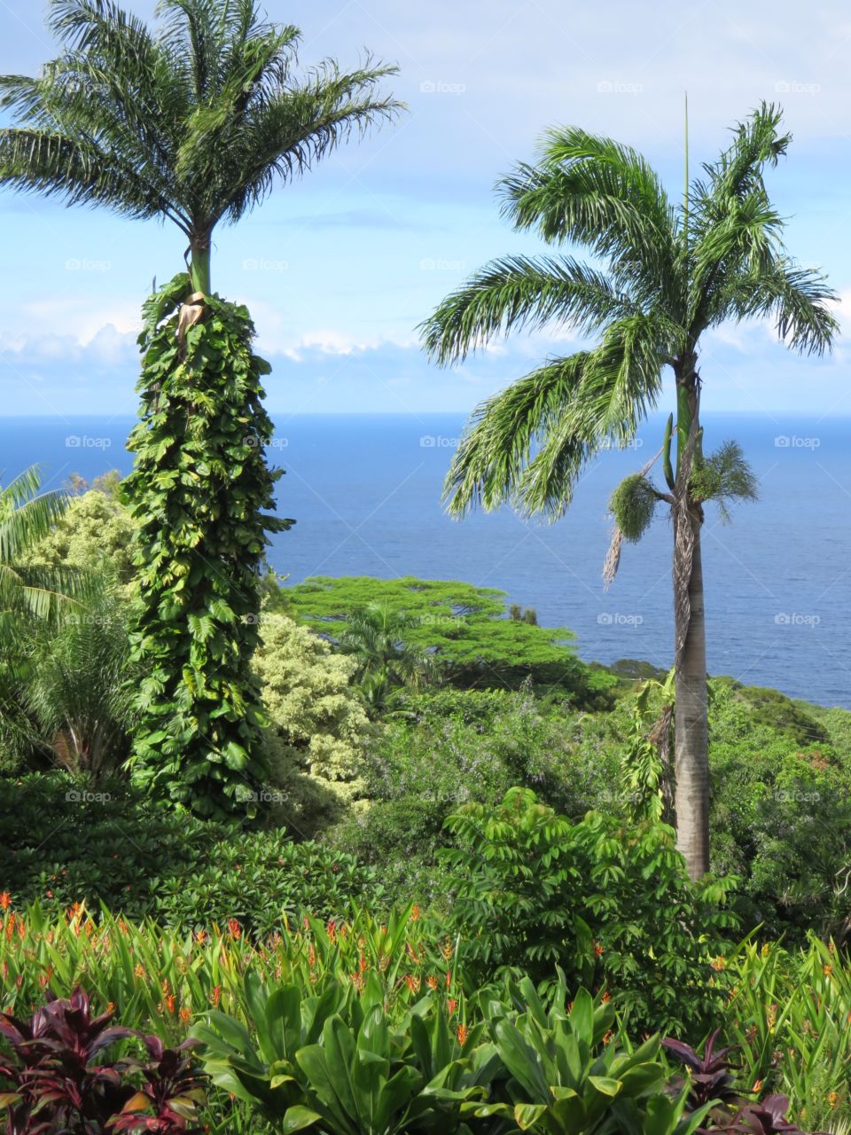 View of the ocean 