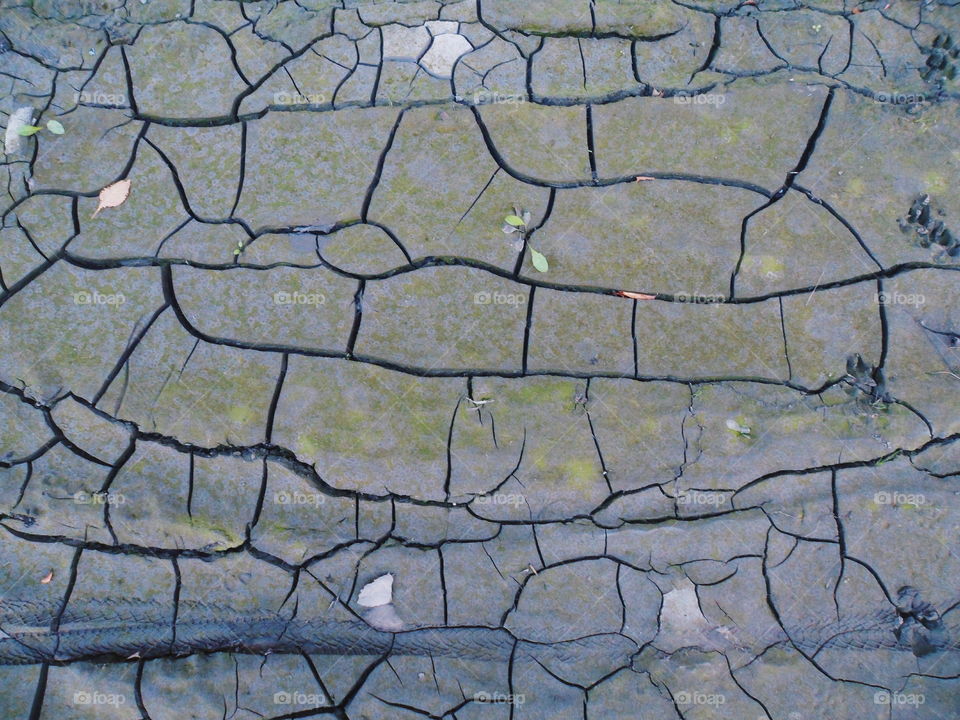 Texture of dry cracked earth