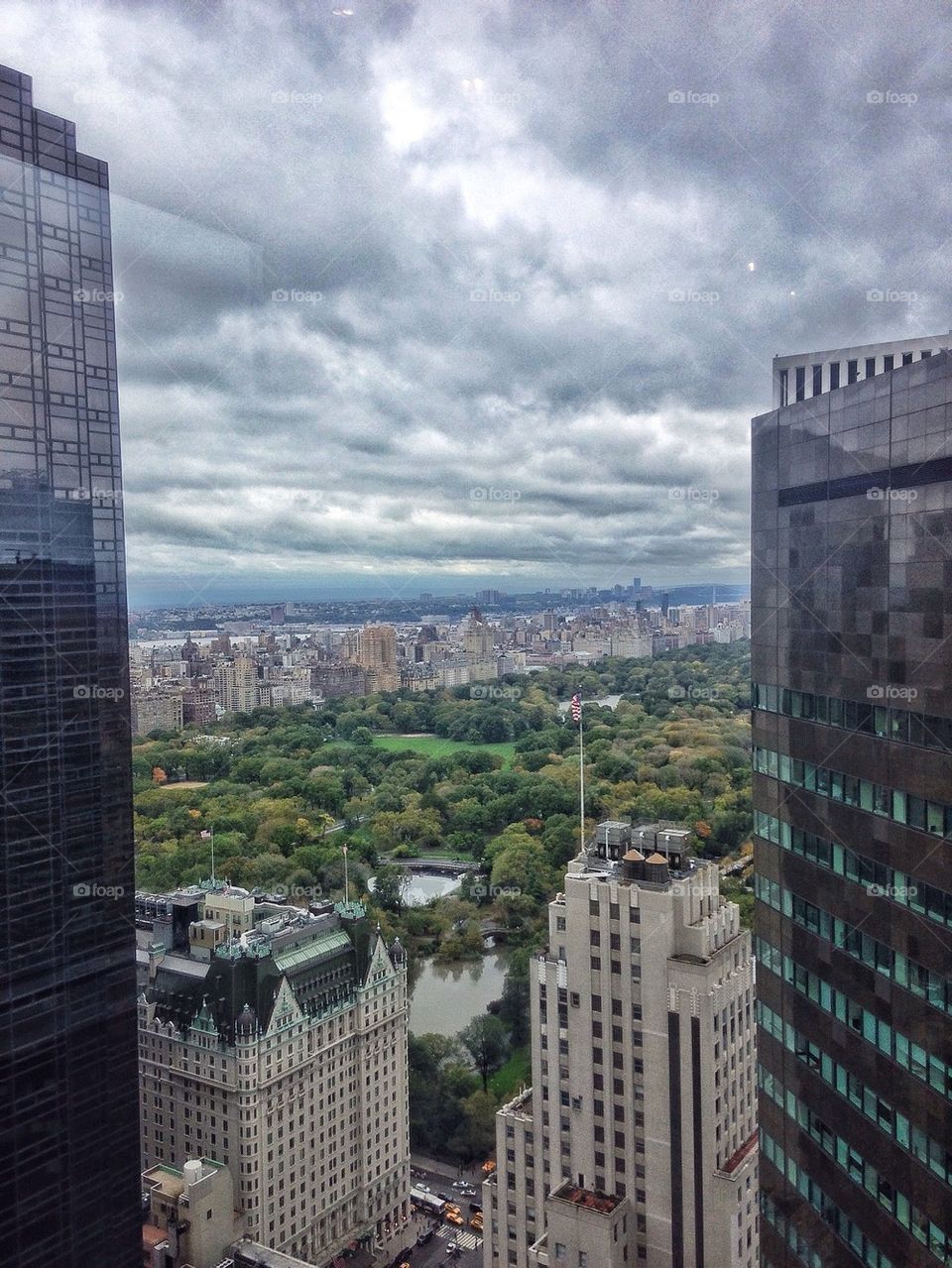 Central park from above