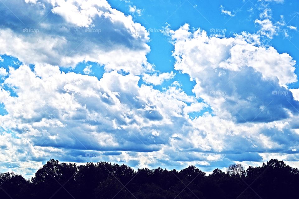 looking up.  Beautiful sky.