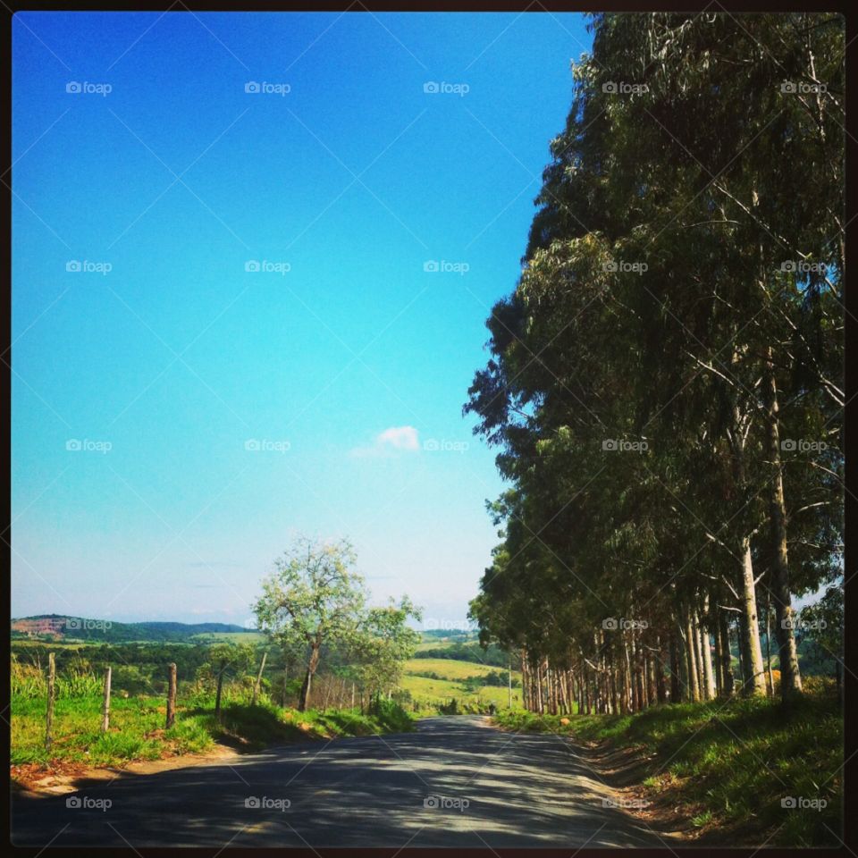 🗾Um #céu azul totalmente inspirador!
Como não contemplar?
🙌🏻
#natureza #paisagem #fotografia #mobgrafia #inspirador #sky #landscapes