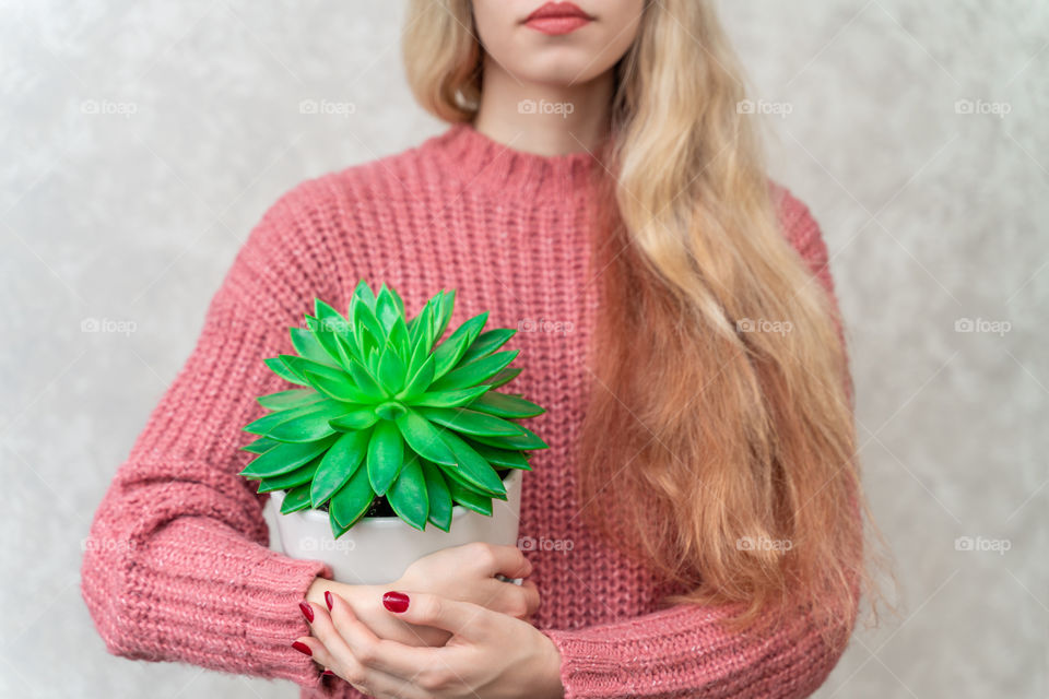 a pot with a green plant of the succulent family in female hands