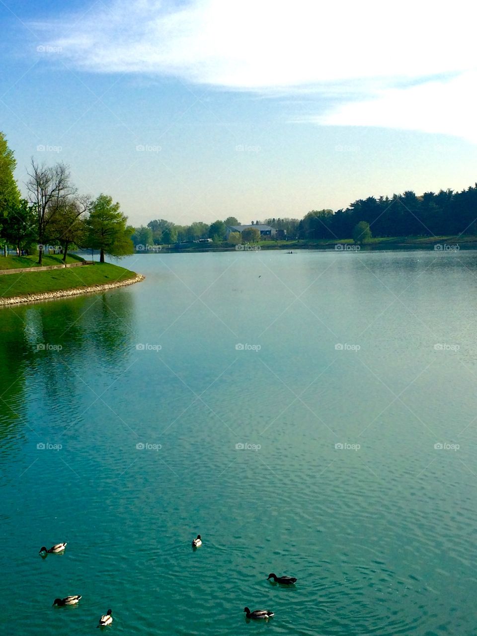 Idroscalo lake, Milan 