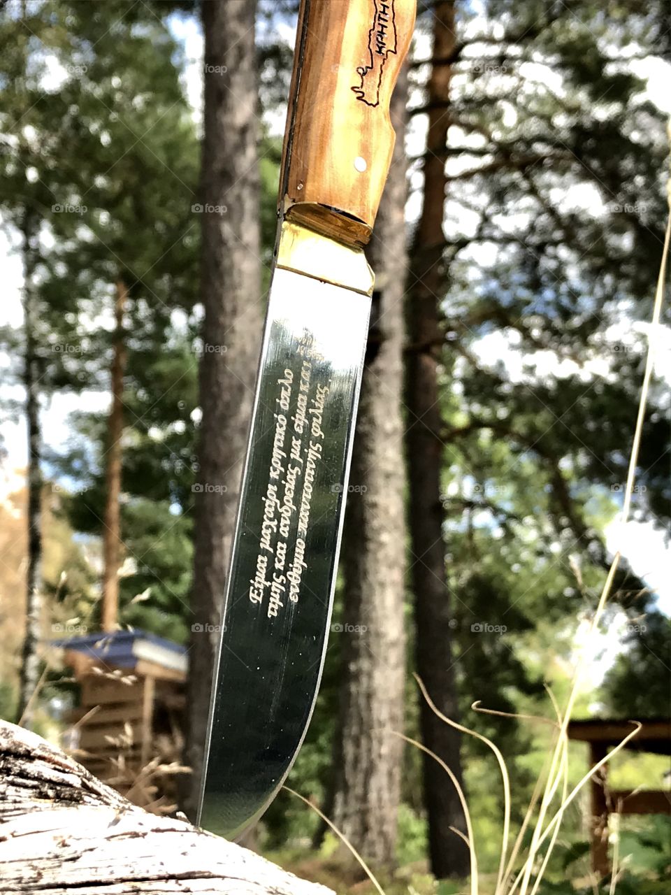 Hunting knife stuck upright with inscription on the side of the blade