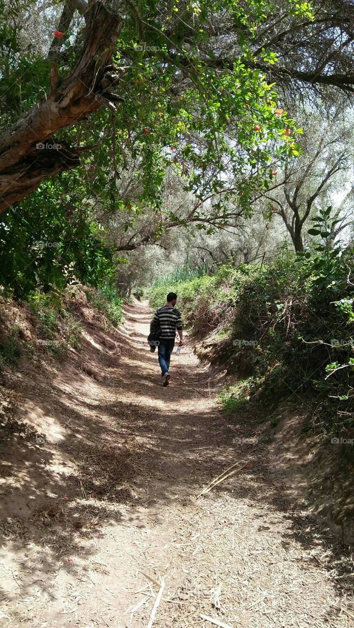 One adult man in trip in forest