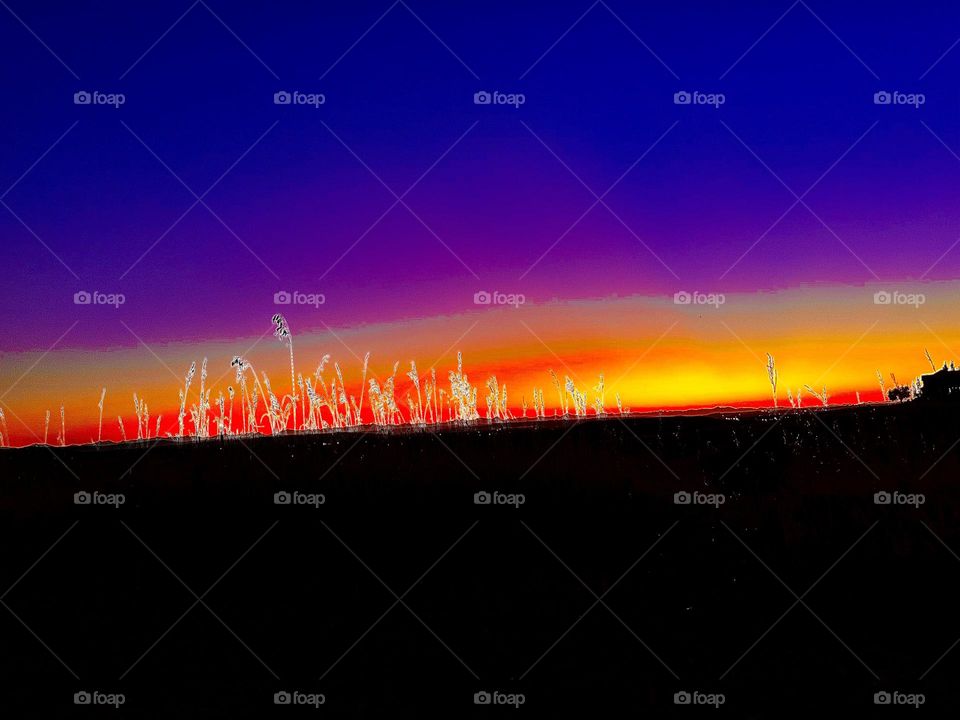 RAINBOW PRAIRIE FIELD