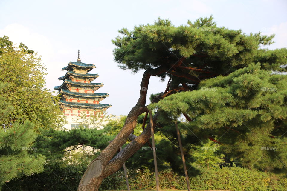 Japanese Temple