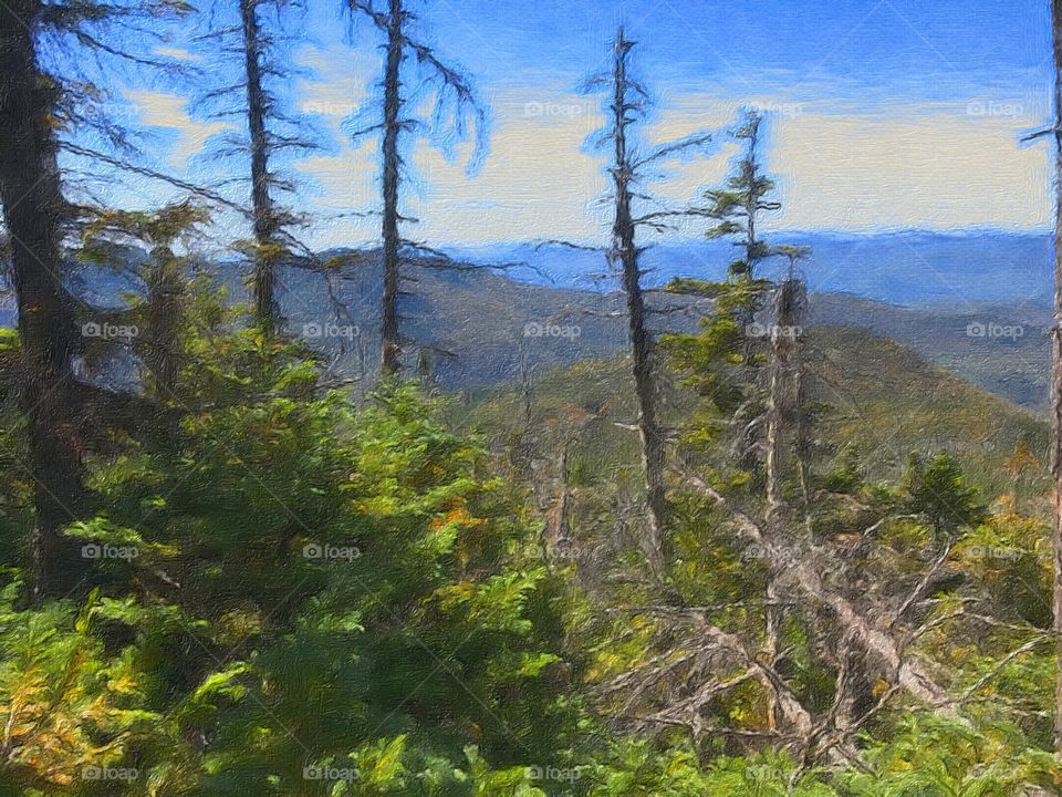 The top of Mount Osceola. Photograph taken with iPhone camera and filter applying to make it look like an oil painting. Mount Osceola is located in central New Hampshire.