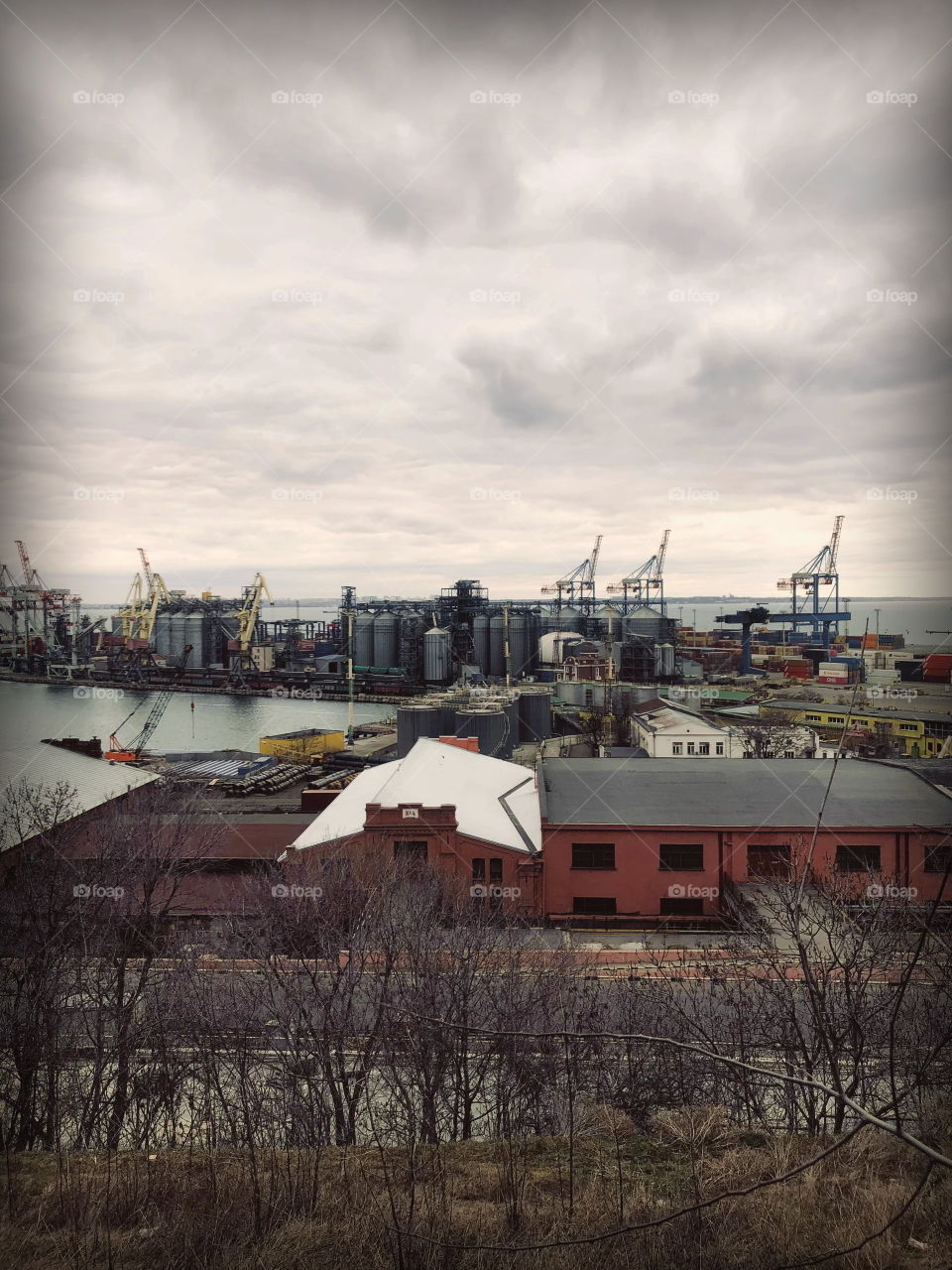 “Red Packhouses” are reflecting in grey skies even ☁️