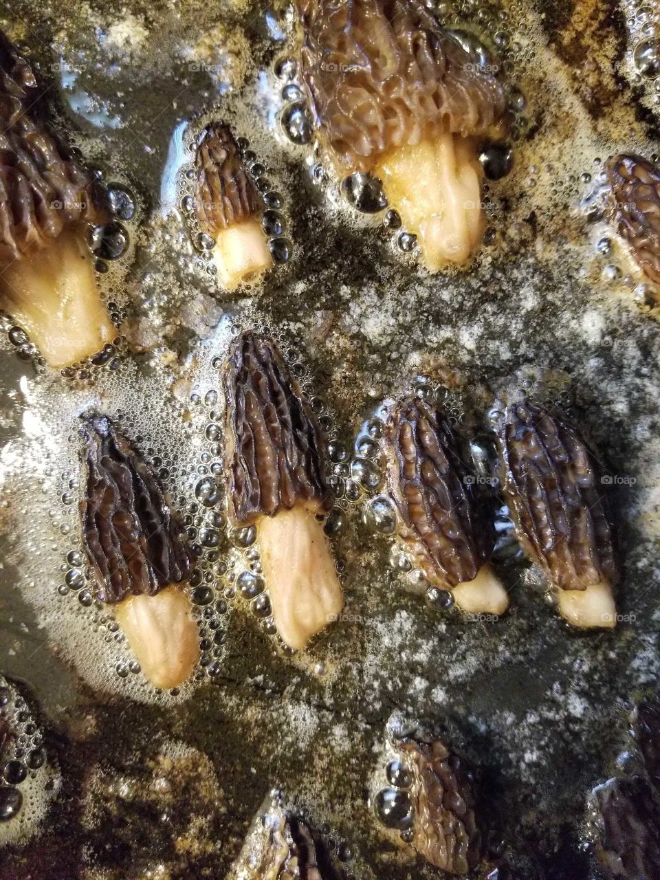 Brown, Wrinkled Morel Mushrooms Cooking in Sizzling Oil