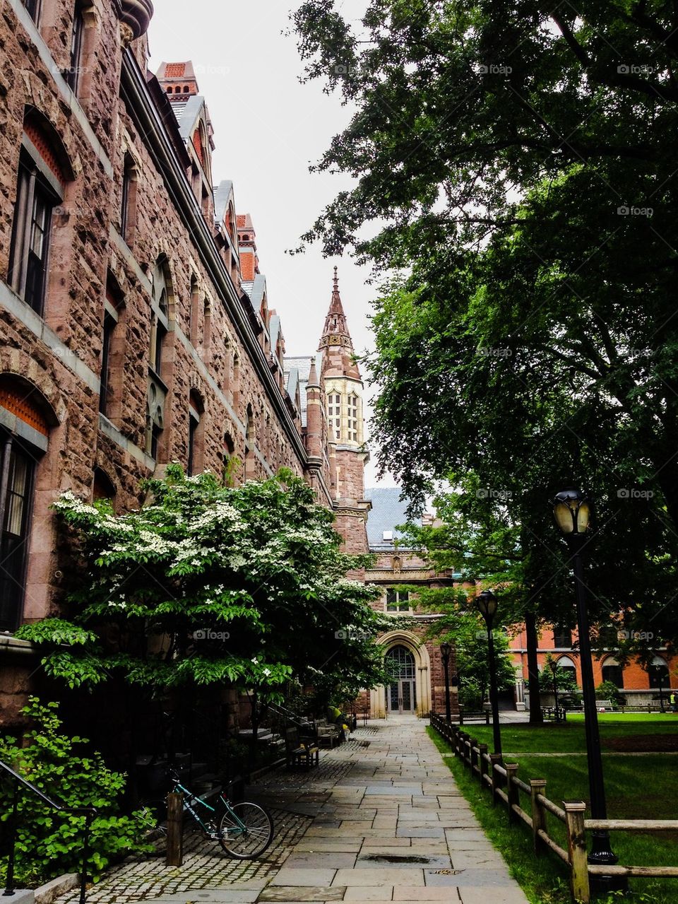 Yale's Old Campus