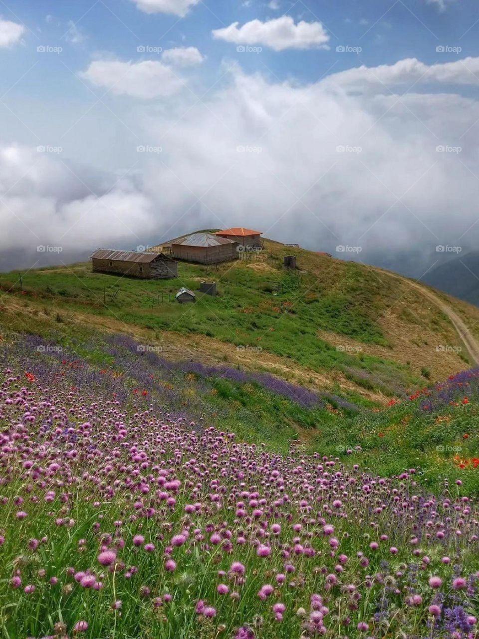 This beautiful village is heaven, a pure place with unique beauty. Very beautiful nature, a cool fountain , hospitable people, delicious local food and calmness and peace are among my unforgettable memories.