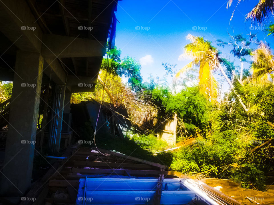 Hurricane Irma Aftermath