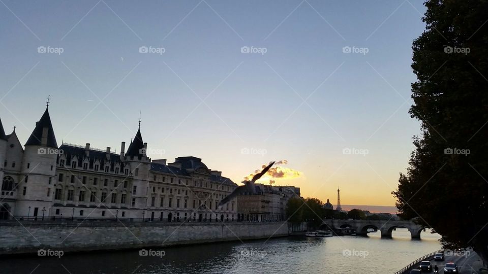 Evening Paris 