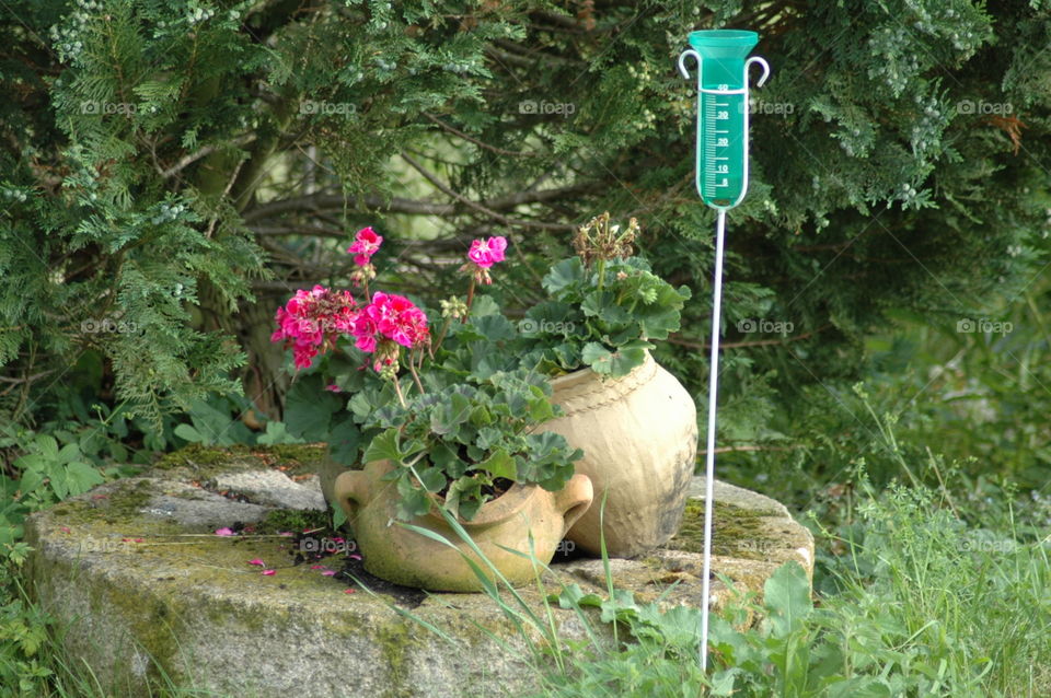 flower garden pot