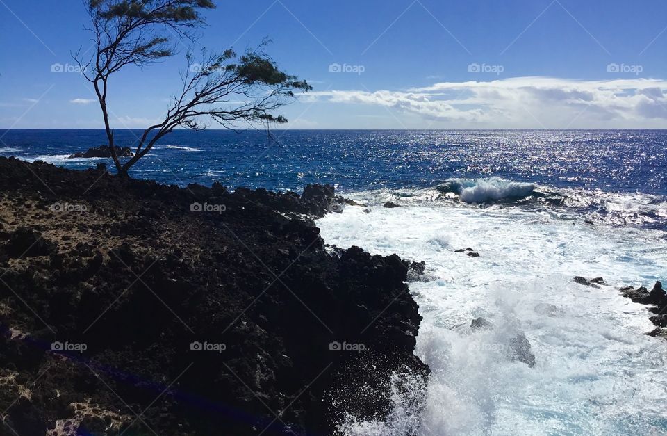 Wave coming ashore