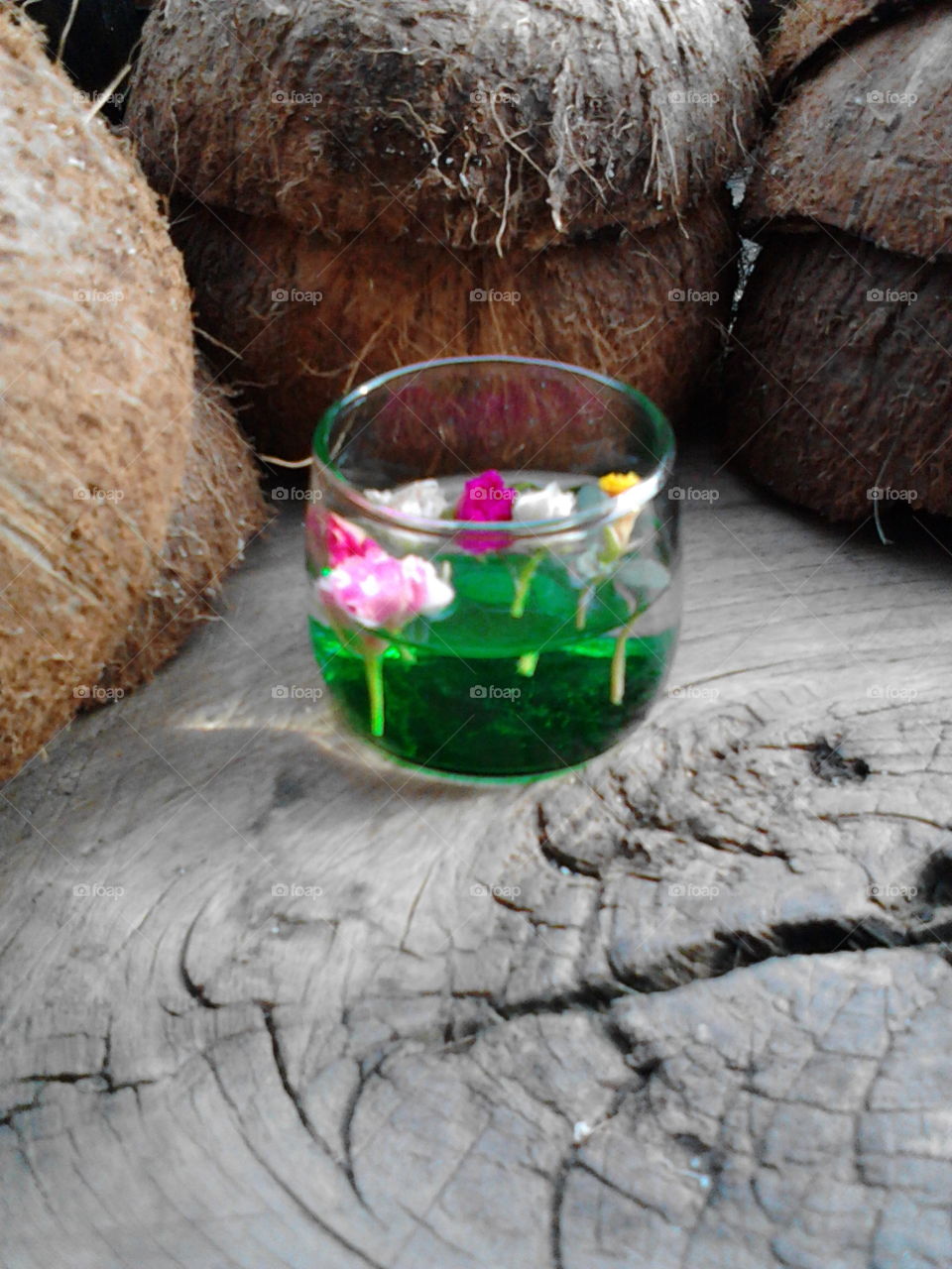 flower in the glass and coconut shell behind it