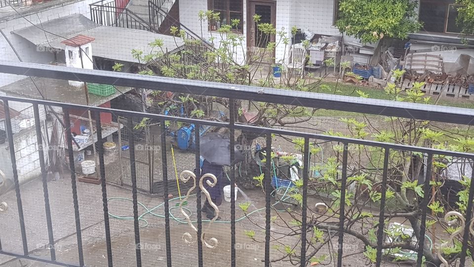 A woman with a hose in the rain