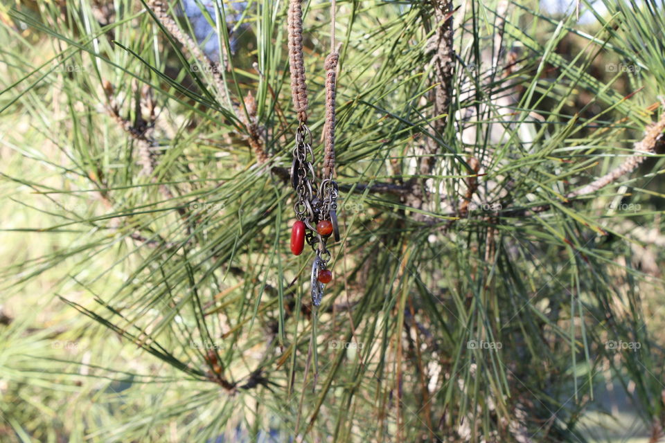 Photo stories in my city