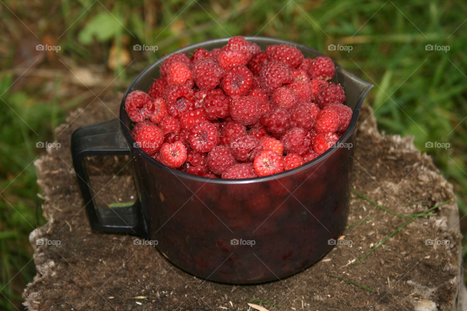 Fresh bowl of raspberries