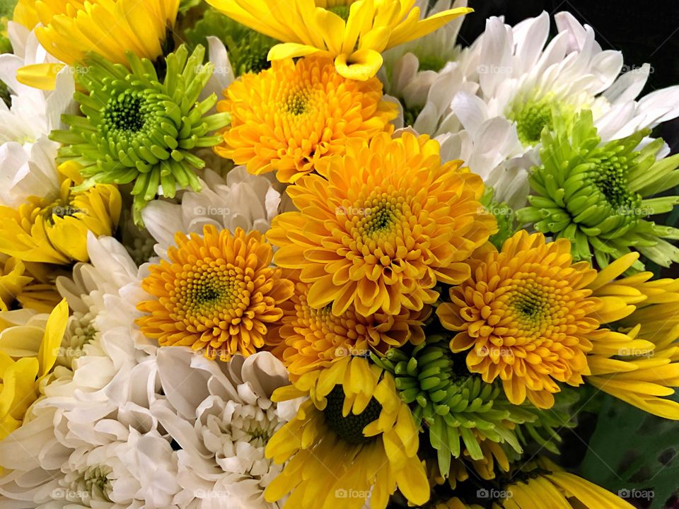 Bouquet of cheerful flowers.