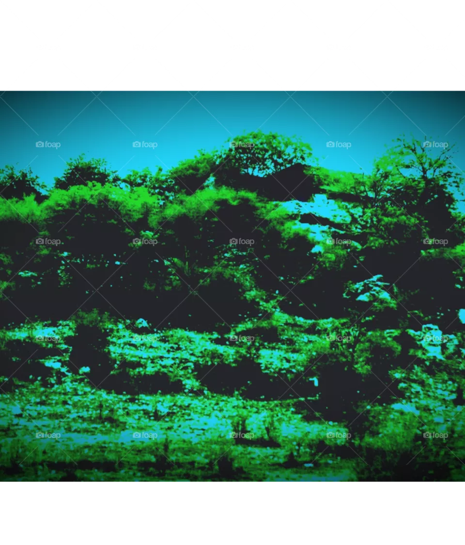beautiful mountain image