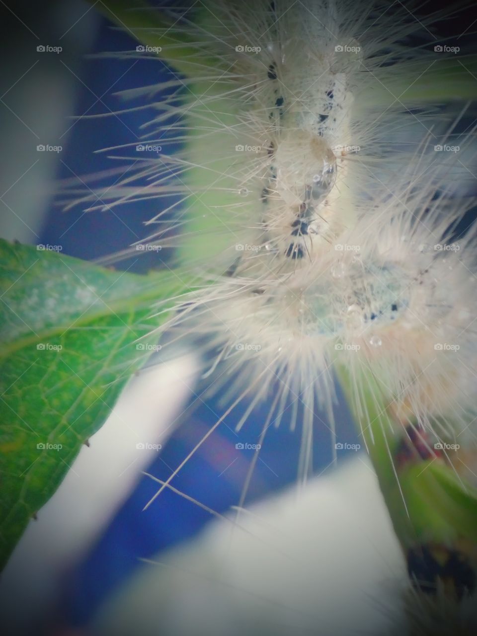 Calculations should be taken periodically in life. Because those people who always try to avoid taking risks, they often lag behind in life.
Adding the lost relationships to the present means to ruin the present in the past.
We should take important decisions related to our lives, so that we do not regret later.
Do not condemn anyone, do not make any romance with someone else's wife, nor do you have greedy eyes on someone else's property / wealth.
There are mainly 3 reasons for the decline of any person: 1. Condemn others
2. Keeping the desire of the other's wife
3. Keeping the desire of others to get wealth / property.
We must learn to accept defeat. Because everybody has many such moments in the past yesterday, when we are unable to do it by being forced by the circumstances ... whatever we want to do.
If yesterday, if the present day had negative impact on the present, then tomorrow should be considered as a poison and should be abandoned.
Some relationships are just names, and some relationships do not have a name ... but those relationships become the most.
When you reach the peak of success, then your competition is only by yourself.
Those people are always happy in life, who abide by the limitations. Breaking the limitations means to invite yourself to Christ.
If you do not have any talent, then you will have to face difficulties in step-by-step. So if you want to make your future good, make yourself self-confident. Make yourself a work expert.
The person who always does good things but does not do anything good. Good things of that person are unimportant.
By not removing misunderstanding, we go away from the person who is in front of us and keep new misconceptions against him. That is why it is better to remove the misunderstanding soon.
Success can be found in the wrong way, but that success does not last long.