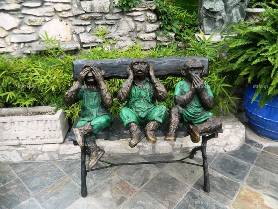 Three Monkeys