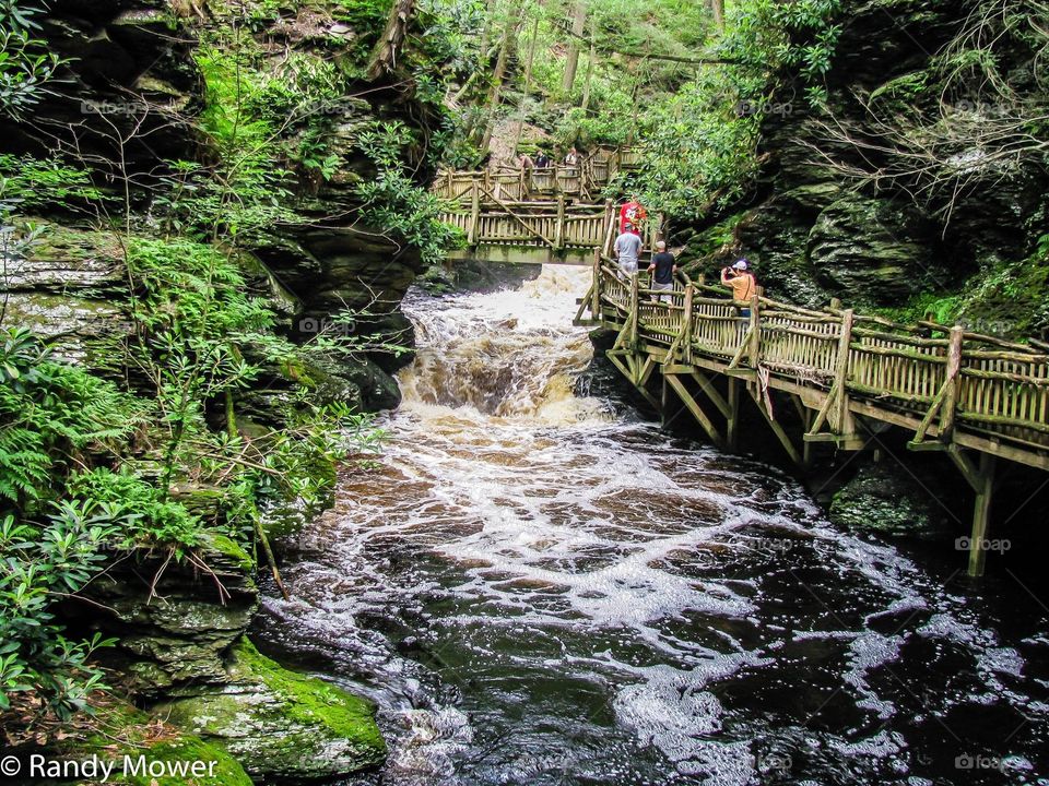 Bushkill Falls
