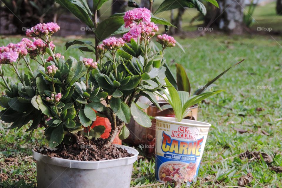 Reusing recycled packaging, plants thank you!