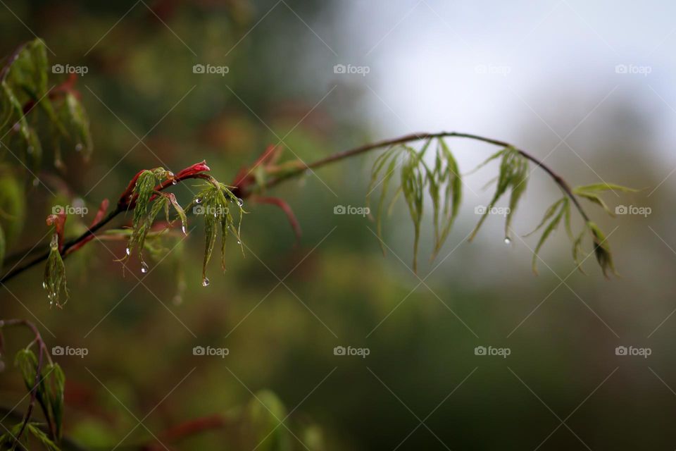 May showers