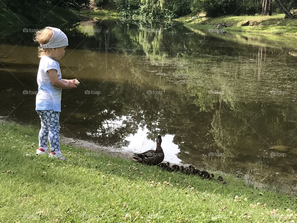 Baby and duck in the park 