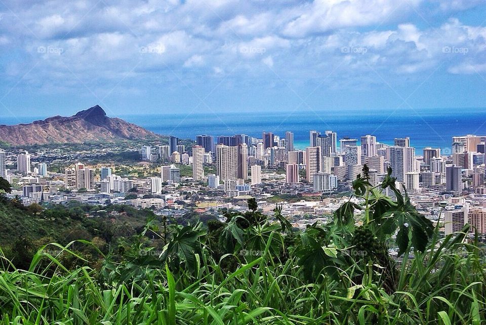 environmental contrast