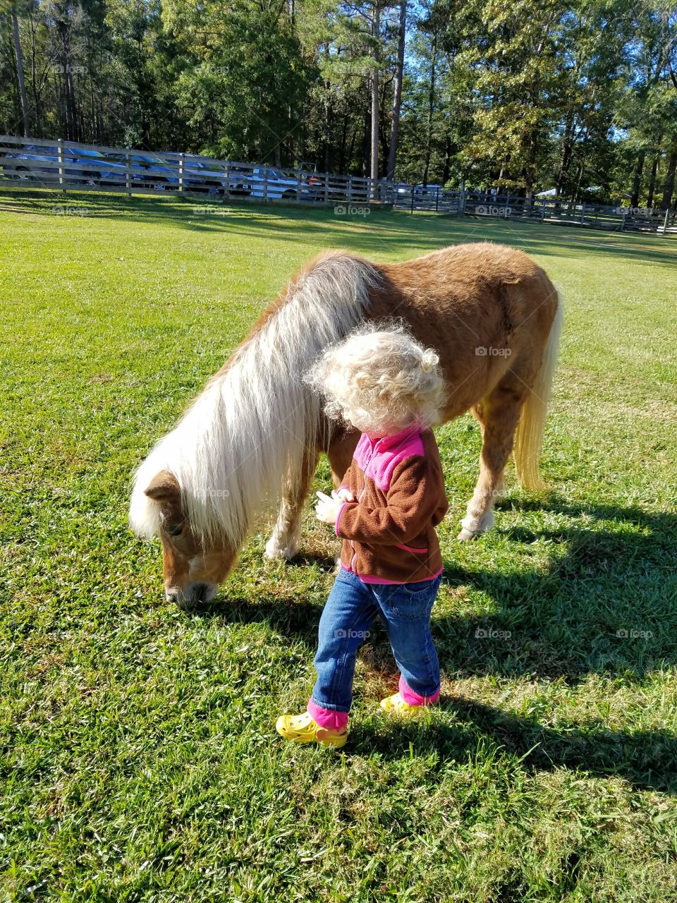 A girl and a pony