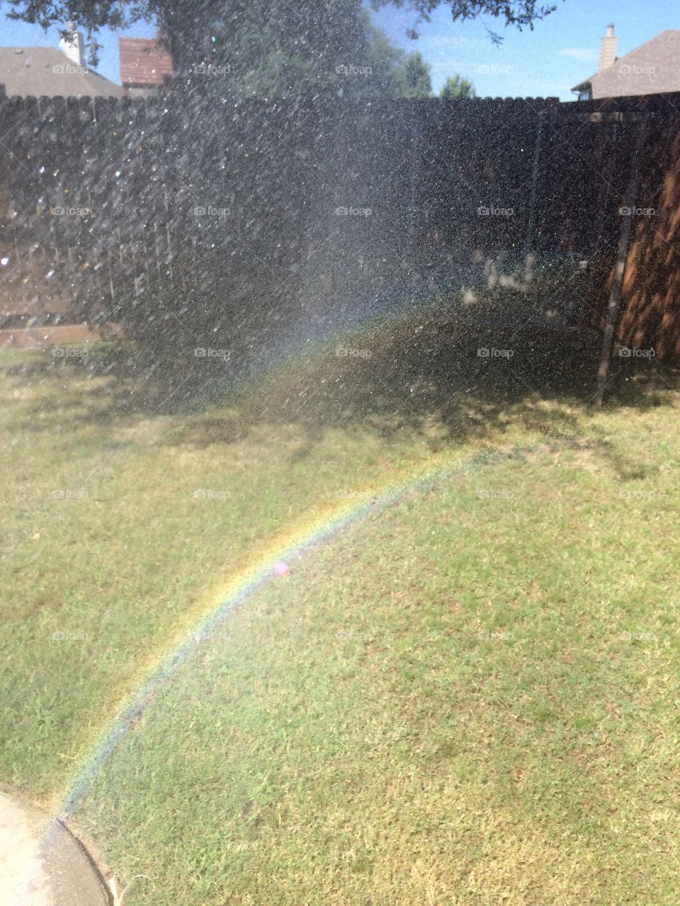 Sprinkle rainbow