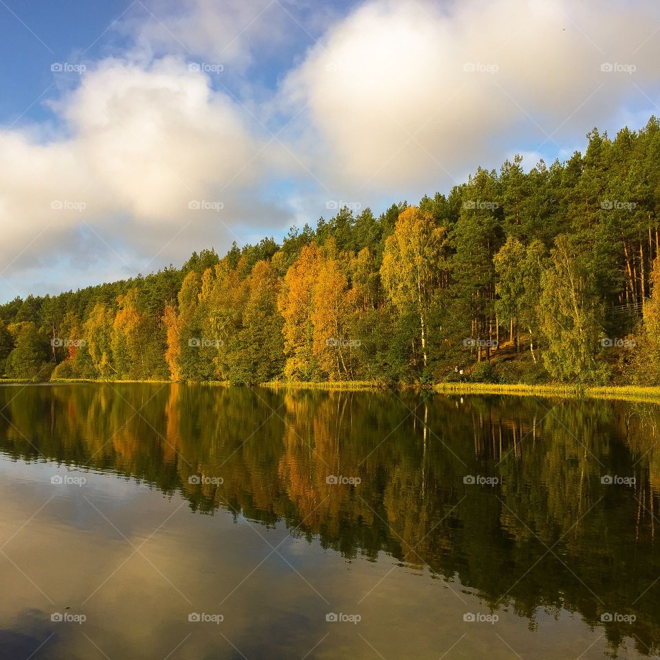 No Person, Water, Dawn, Lake, Nature