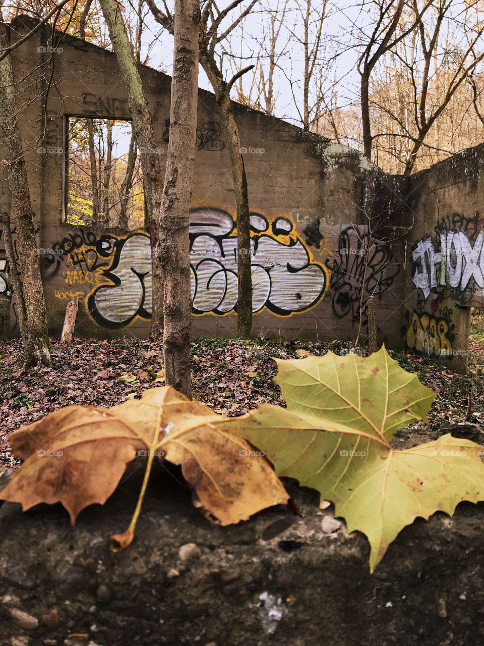 Let’s remember Fall