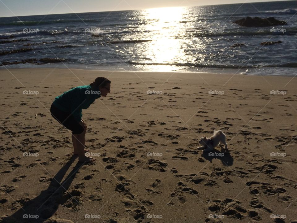 Woman plays with dog. Woman playing with dog at beach