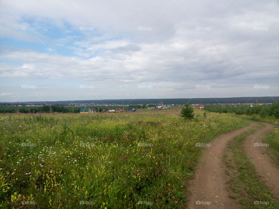 Road in the field