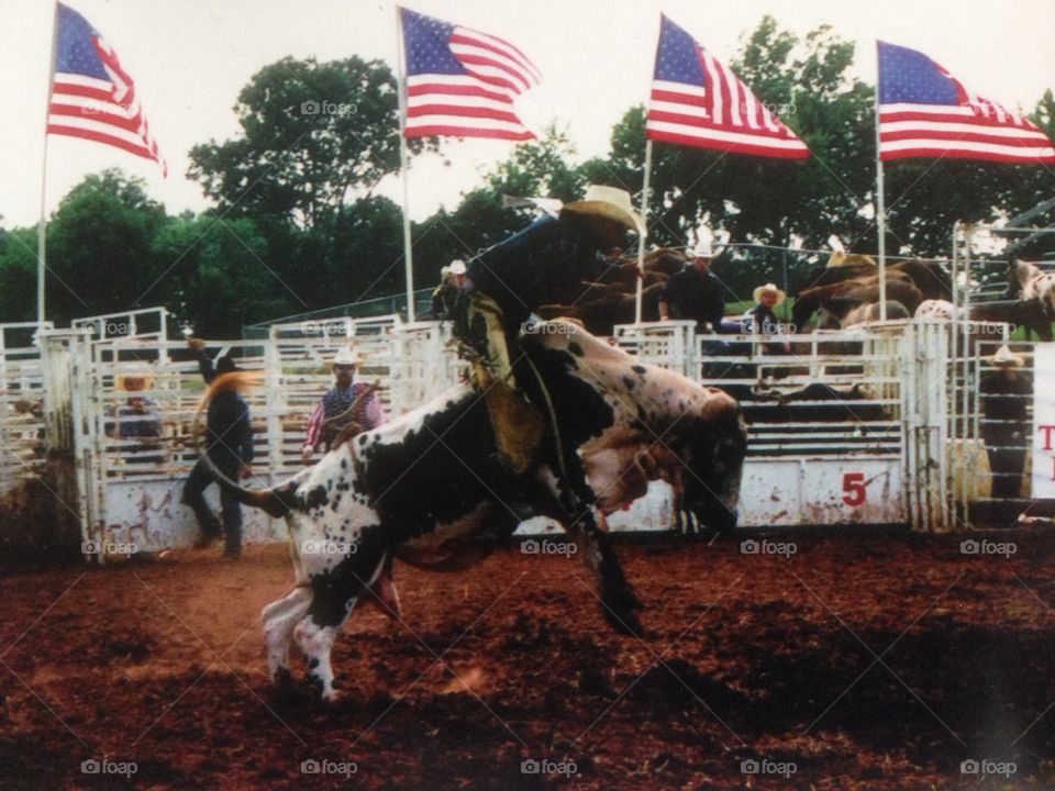 Rodeo