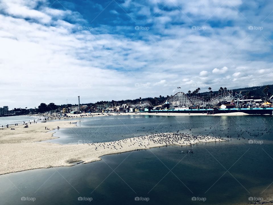 Boardwalk in Santa Cruz with birds on the island 
