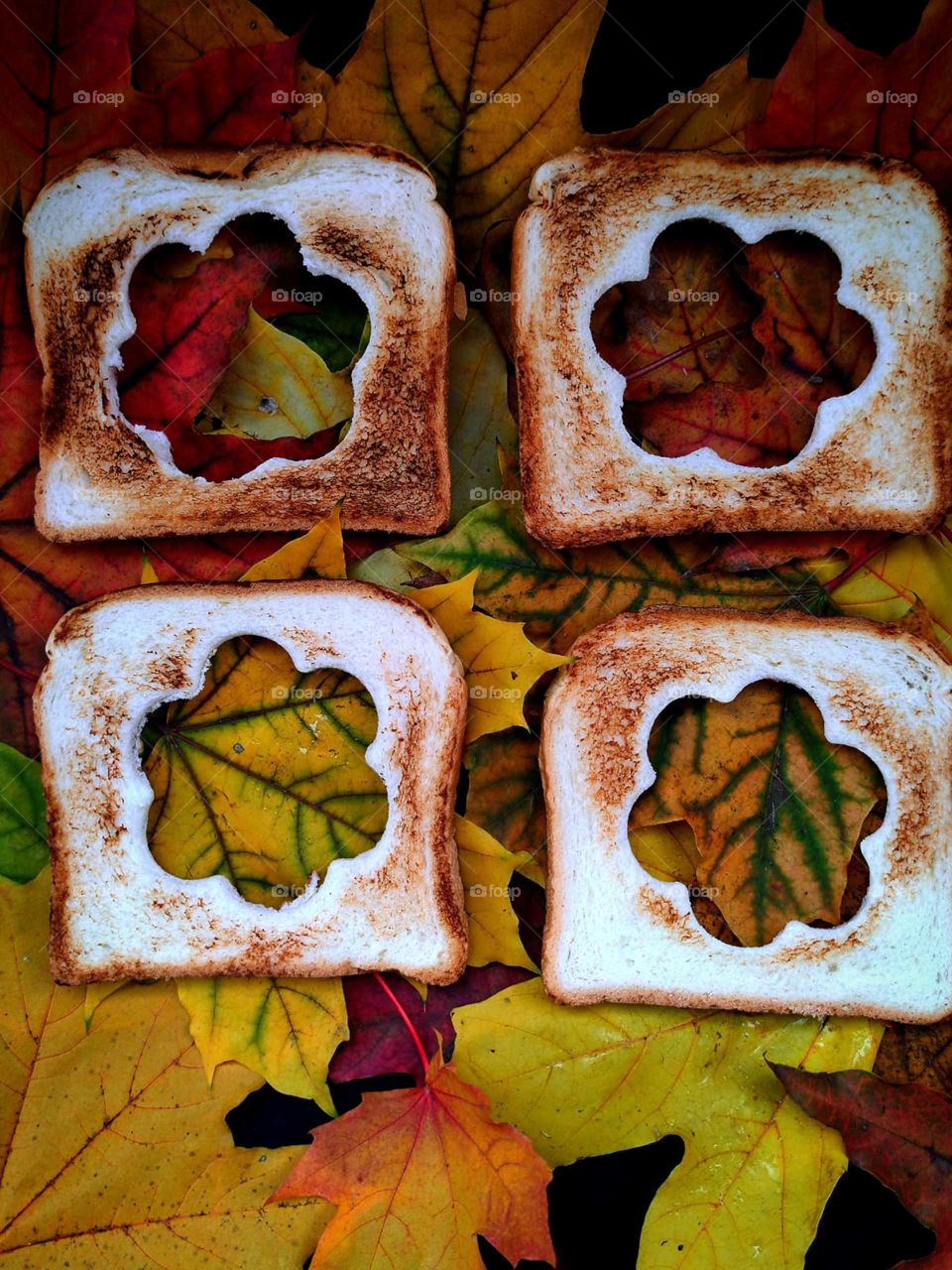 Four fried breads with carved flowers lie on multicolored maple leaves