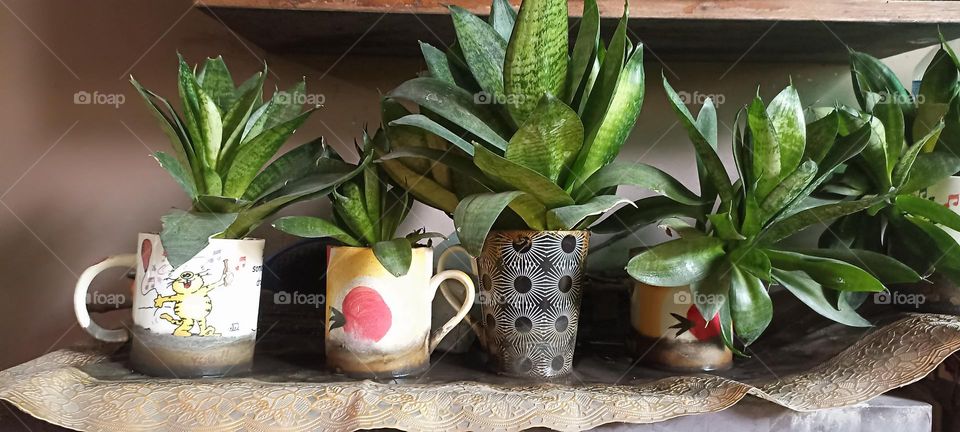 red green red green red green