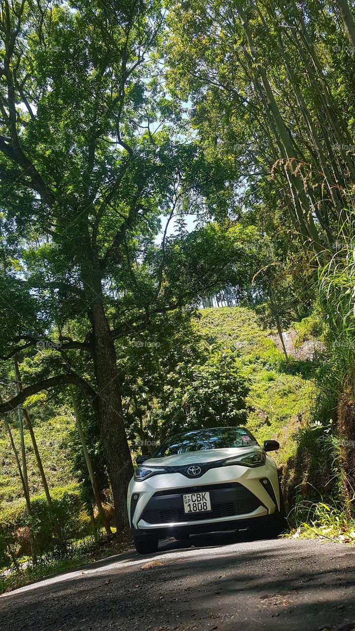 Cars with souls in nature