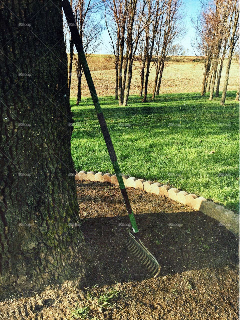 Rest Break - rural area in springtime, front yard, planter around tree ready for planting, rake leaning against tree