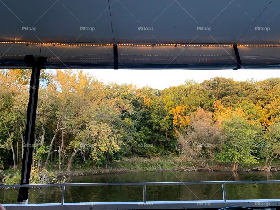 Beautiful Sight Of The Forest On A Boat Tour on the River In North Michigan